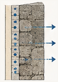 4 - Moisture Evaporates